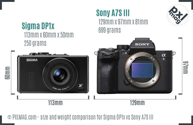 Sigma DP1x vs Sony A7S III size comparison