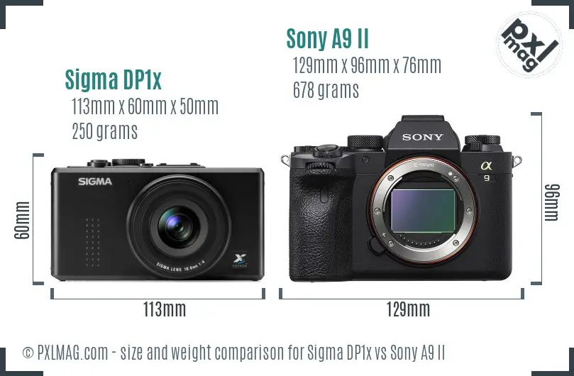 Size comparison between Sigma DP1x and Sony A9 II