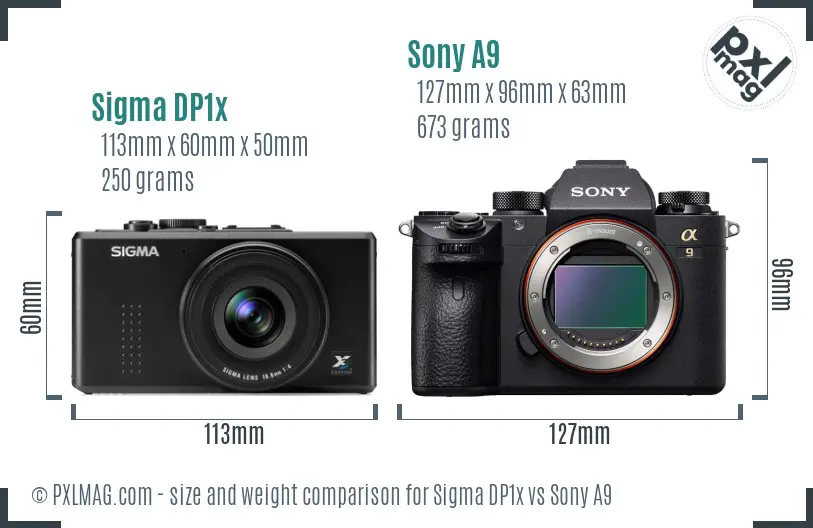 Sigma DP1x vs Sony A9 size comparison Sigma DP1x vs Sony A9 size comparison
