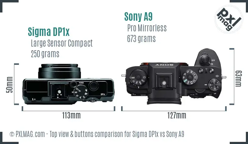 Sigma DP1x vs Sony A9 top view buttons comparison Sigma DP1x vs Sony A9 top view buttons comparison