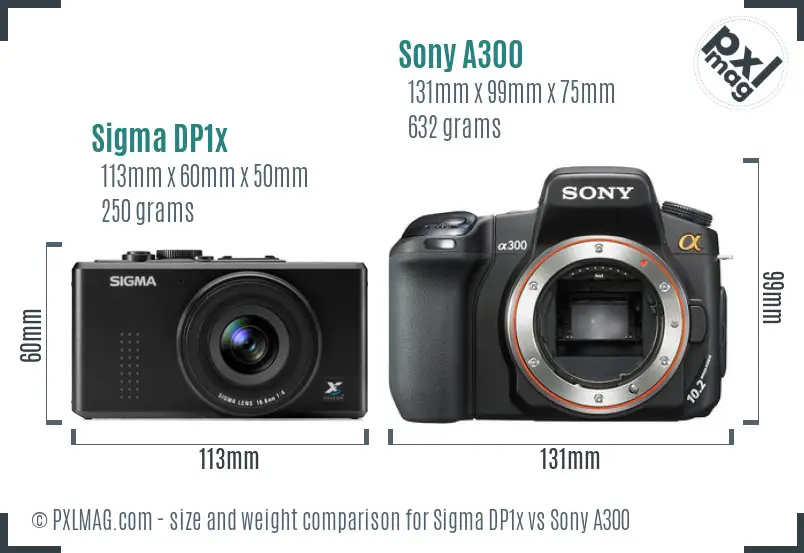 Sigma DP1x vs Sony A300 size comparison