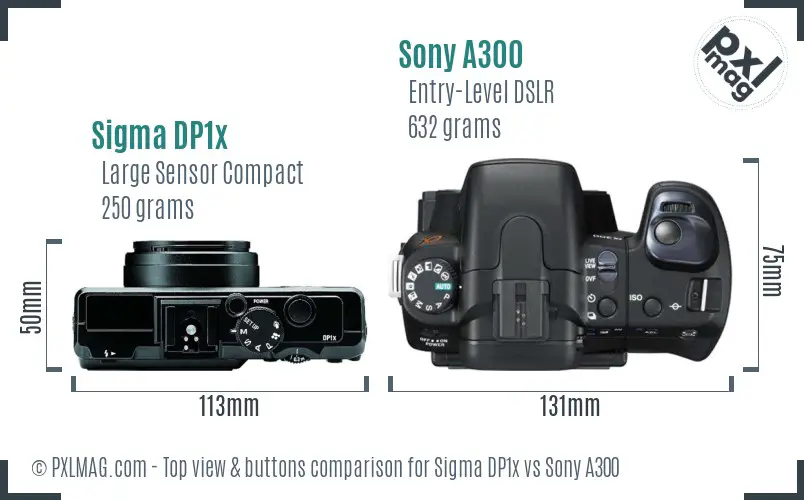 Sigma DP1x vs Sony A300 top view buttons comparison