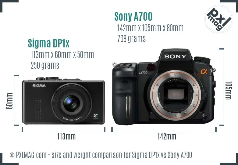 Sigma DP1x vs Sony A700 size comparison