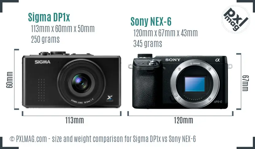 Sigma DP1x vs Sony NEX-6 size comparison