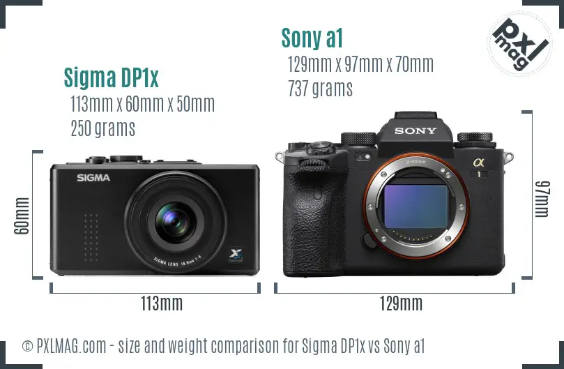 Sigma DP1x vs Sony a1 size comparison