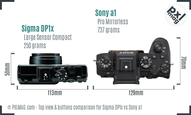 Sigma DP1x vs Sony a1 top view buttons comparison