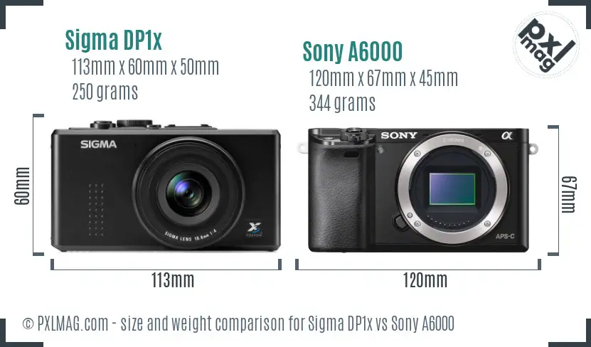 Sigma DP1x vs Sony A6000 size comparison