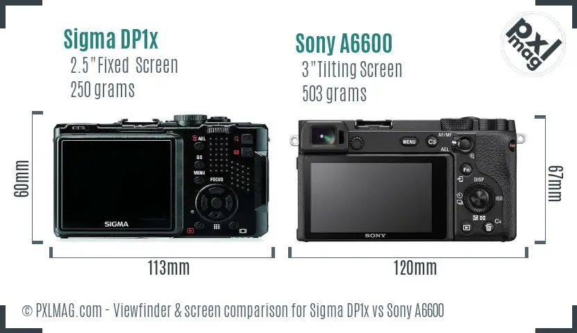 Sigma DP1x vs Sony A6600 Screen and Viewfinder comparison