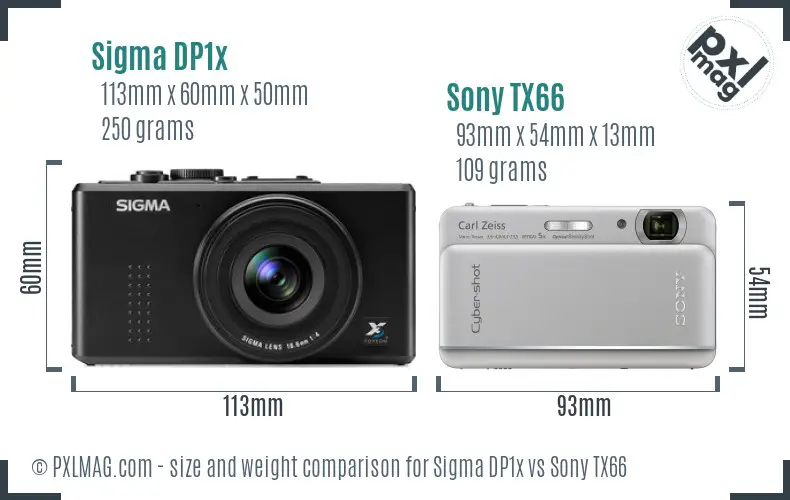 Sigma DP1x vs Sony TX66 size comparison
