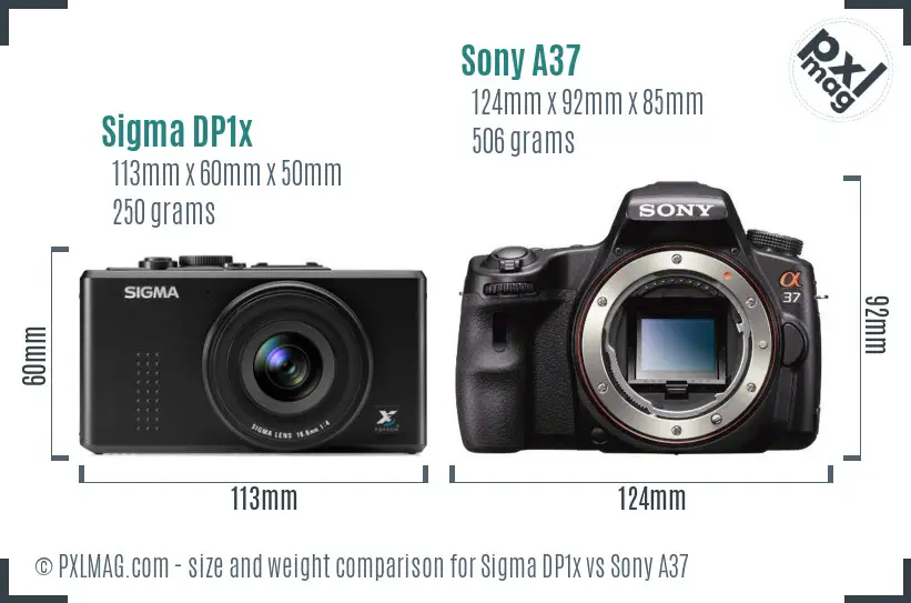 Sigma DP1x vs Sony A37 size comparison