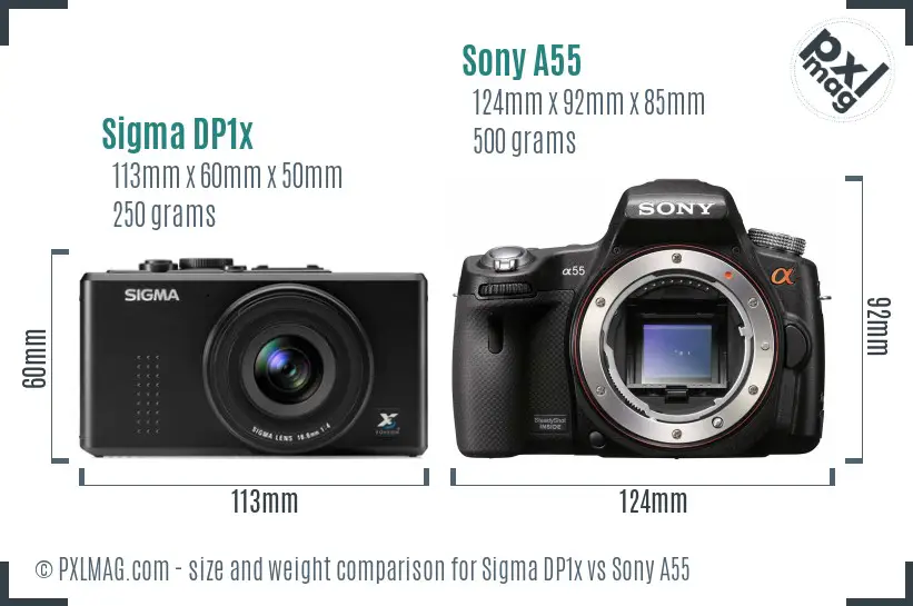 Sigma DP1x vs Sony A55 size comparison