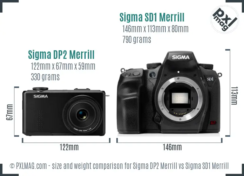 Sigma DP2 Merrill vs Sigma SD1 Merrill size comparison