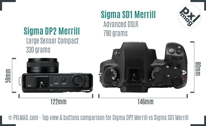 Sigma DP2 Merrill vs Sigma SD1 Merrill top view buttons comparison