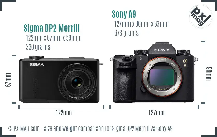 Sigma DP2 Merrill vs Sony A9 size comparison Sigma DP2 Merrill vs Sony A9 size comparison