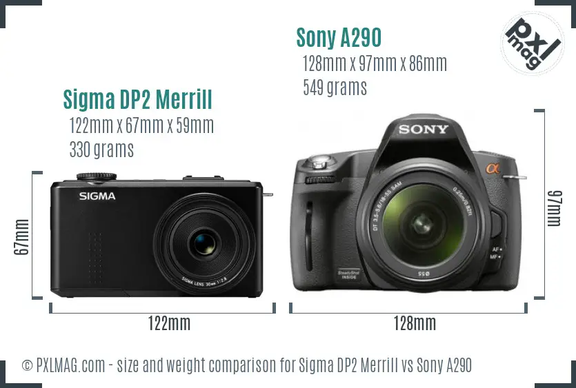 Sigma DP2 Merrill vs Sony A290 size comparison