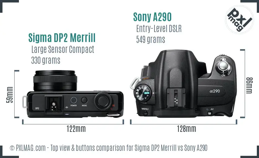 Sigma DP2 Merrill vs Sony A290 top view buttons comparison