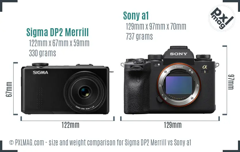 Sigma DP2 Merrill vs Sony a1 size comparison
