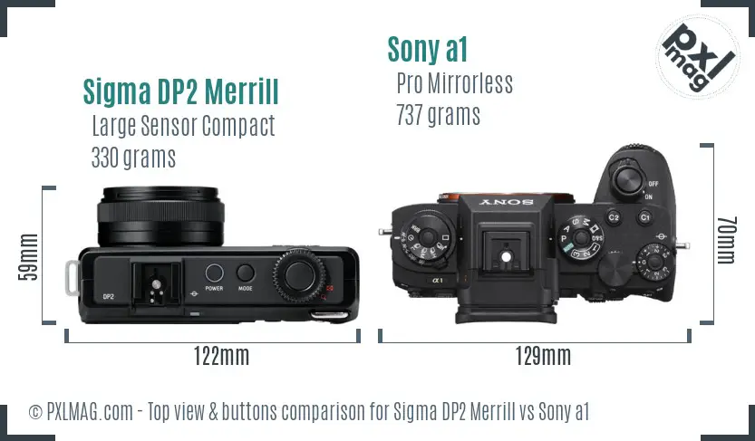 Sigma DP2 Merrill vs Sony a1 top view buttons comparison