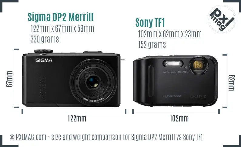 Sigma DP2 Merrill vs Sony TF1 size comparison