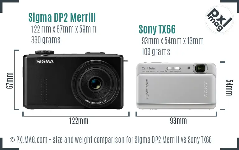 Sigma DP2 Merrill vs Sony TX66 size comparison