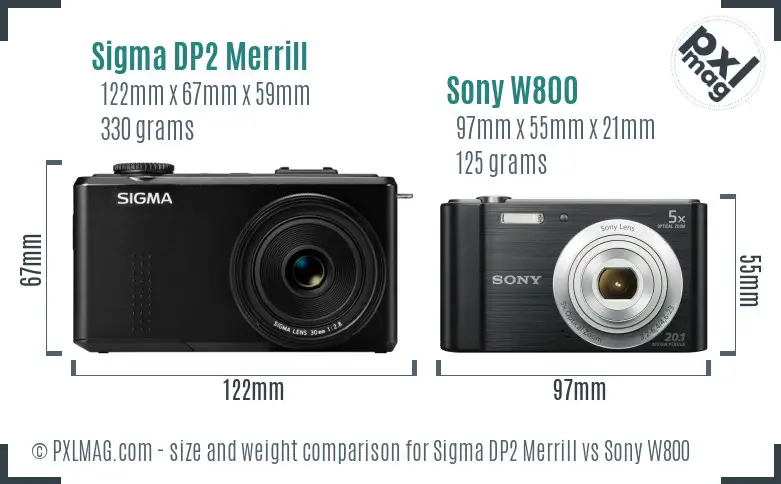 Sigma DP2 Merrill vs Sony W800 size comparison