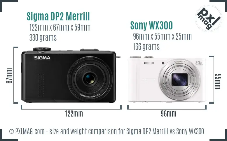 Sigma DP2 Merrill vs Sony WX300 size comparison