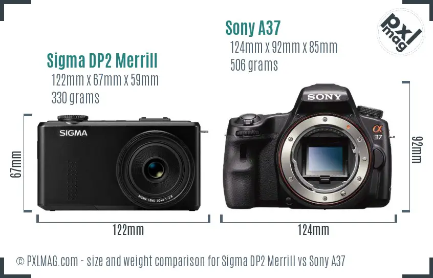 Sigma DP2 Merrill vs Sony A37 size comparison