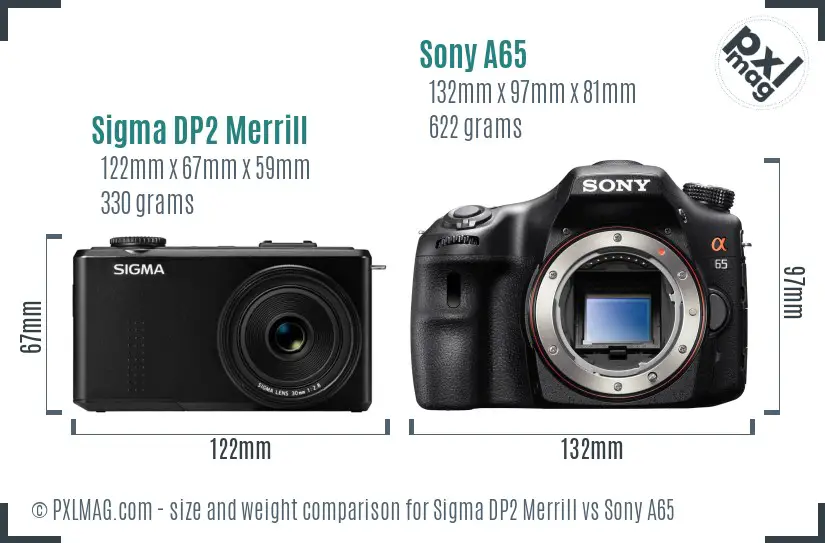 Sigma DP2 Merrill vs Sony A65 size comparison