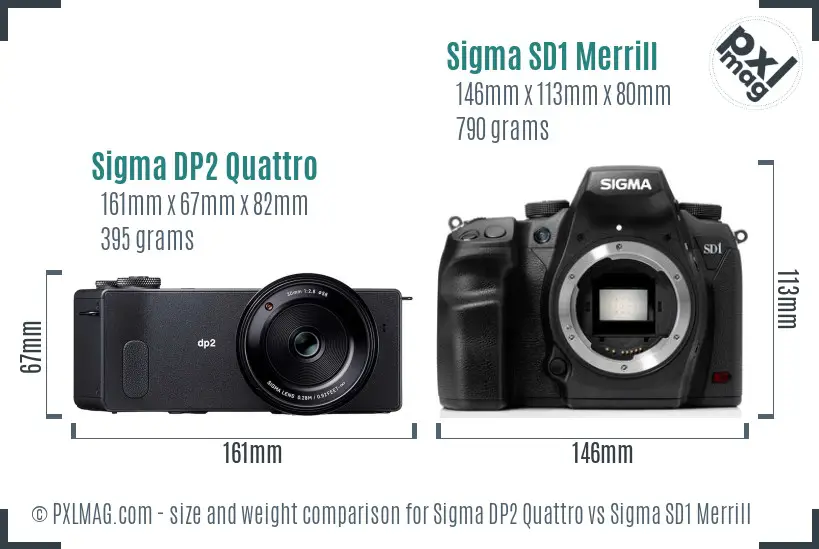 Sigma DP2 Quattro vs Sigma SD1 Merrill size comparison