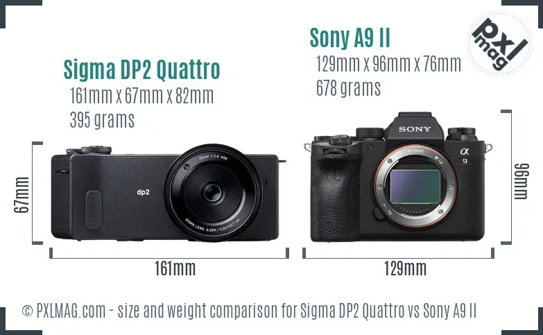 Sigma DP2 Quattro vs Sony A9 II size comparison