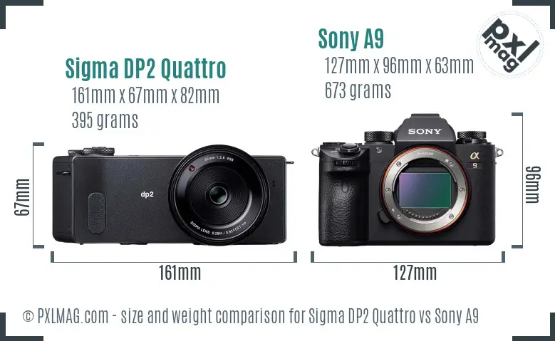 Sigma DP2 Quattro vs Sony A9 size comparison