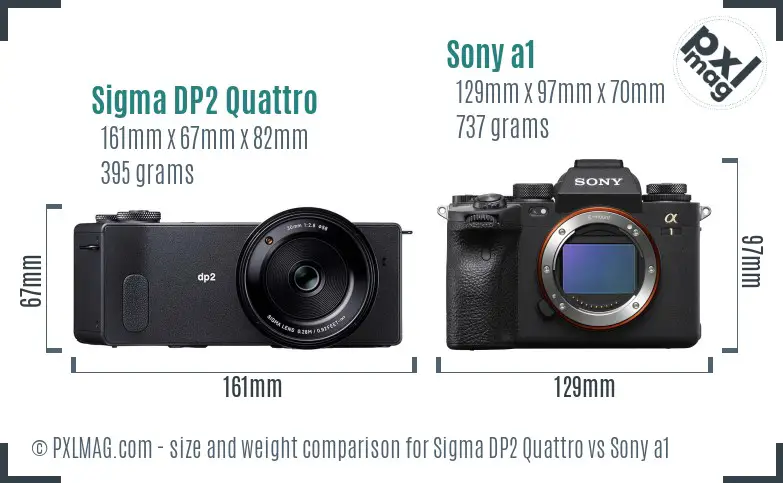 Sigma DP2 Quattro vs Sony a1 size comparison