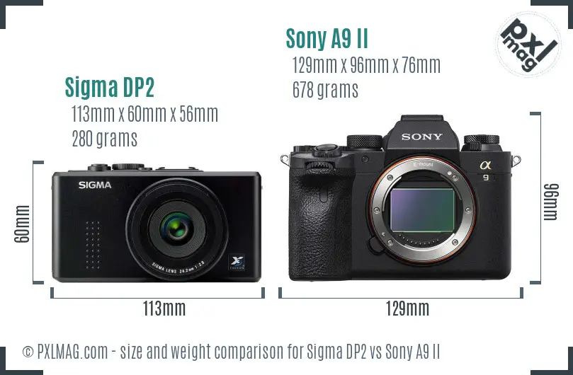 Sigma DP2 vs Sony A9 II size comparison