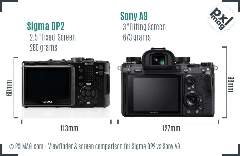 Sigma DP2 vs Sony A9 Screen and Viewfinder comparison