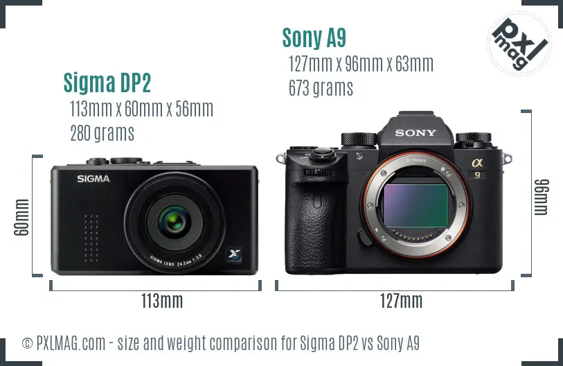 Sigma DP2 vs Sony A9 size comparison