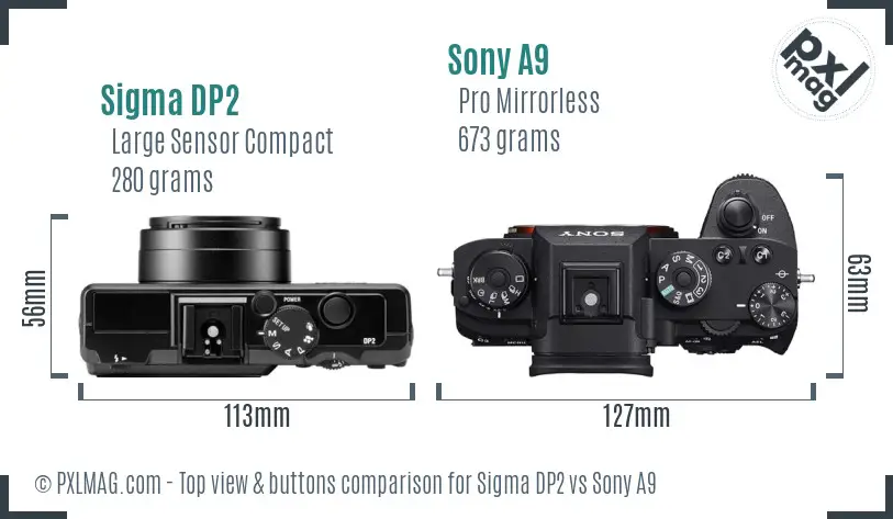 Sigma DP2 vs Sony A9 top view buttons comparison