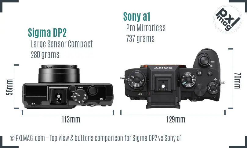 Sigma DP2 vs Sony a1 top view buttons comparison