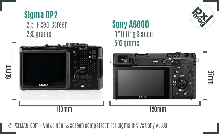 Sigma DP2 vs Sony A6600 Screen and Viewfinder comparison