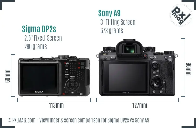 Sigma DP2s vs Sony A9 Screen and Viewfinder comparison