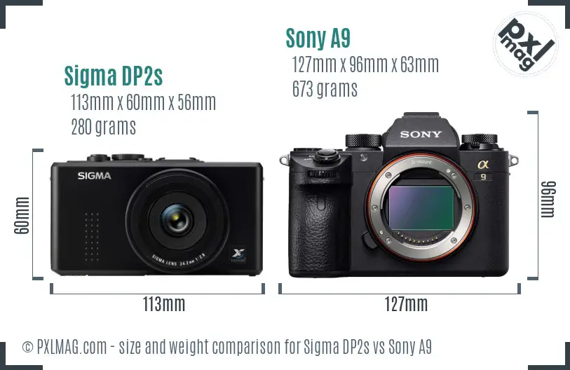 Sigma DP2s vs Sony A9 size comparison