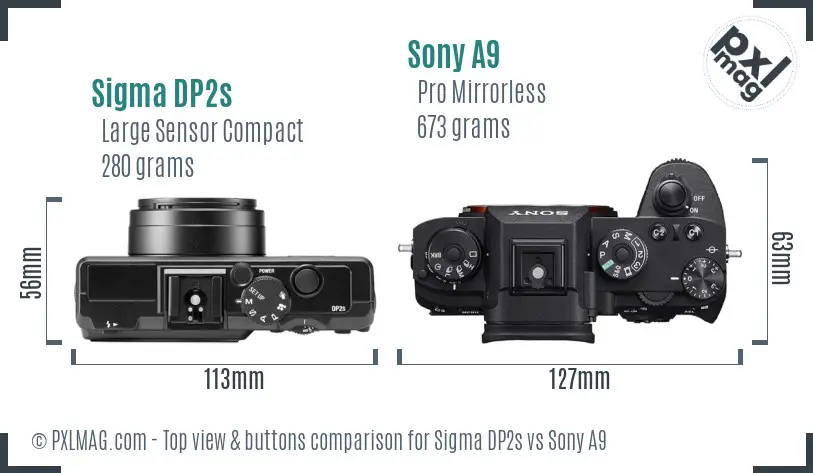 Sigma DP2s vs Sony A9 top view buttons comparison