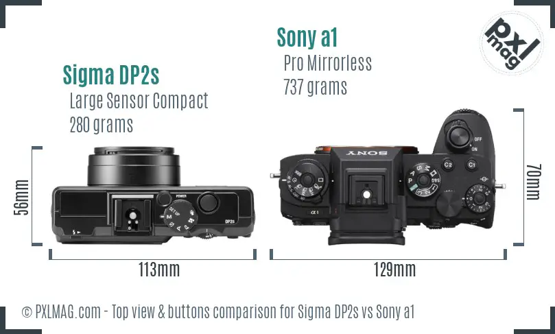 Sigma DP2s vs Sony a1 top view buttons comparison