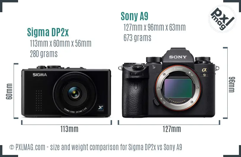 Sigma DP2x vs Sony A9 size comparison Sigma DP2x vs Sony A9 size comparison