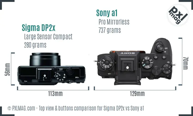 Sigma DP2x vs Sony a1 top view buttons comparison