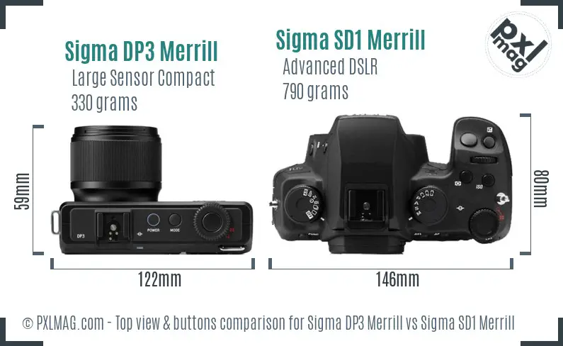 Sigma DP3 Merrill vs Sigma SD1 Merrill top view buttons comparison