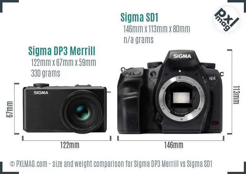 Sigma DP3 Merrill vs Sigma SD1 size comparison