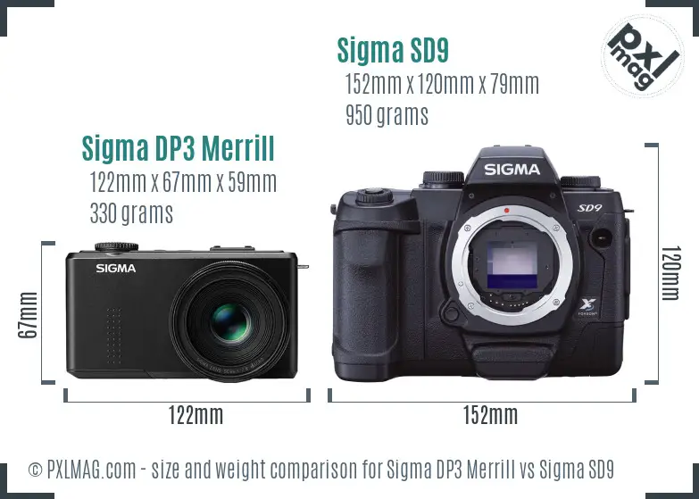 Sigma DP3 Merrill vs Sigma SD9 size comparison