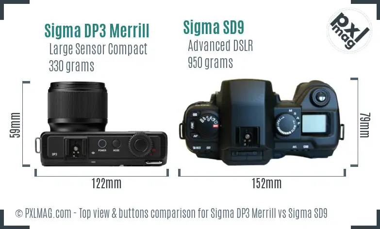 Sigma DP3 Merrill vs Sigma SD9 top view buttons comparison