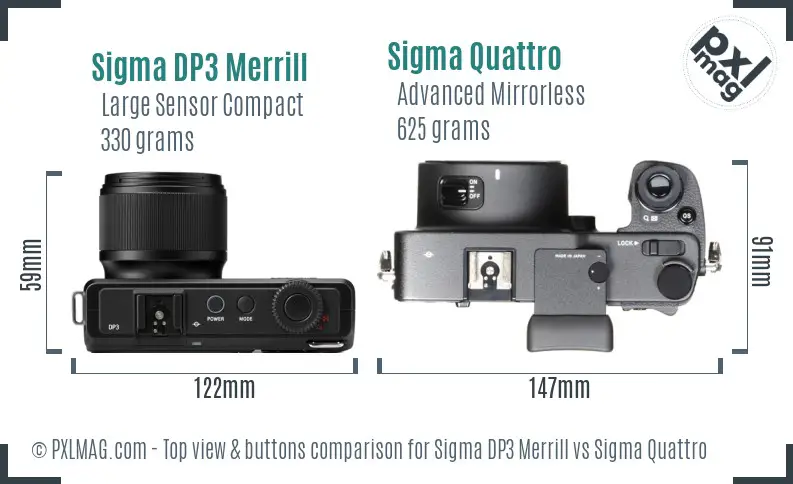 Sigma DP3 Merrill vs Sigma Quattro top view buttons comparison