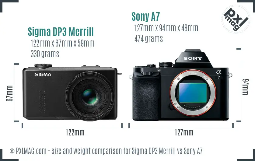 Sigma DP3 Merrill vs Sony A7 size comparison